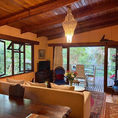 Nature'S Valley Health Retreat A Hide Away In The Forest Exterior foto